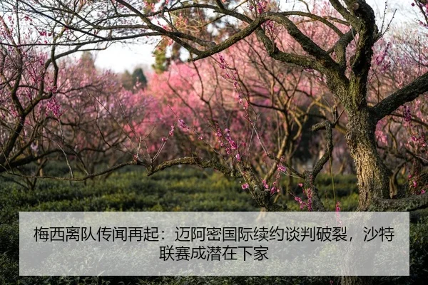 梅西离队传闻再起：迈阿密国际续约谈判破裂，沙特联赛成潜在下家
